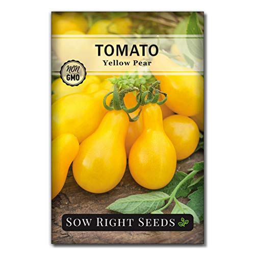 Sow Right Seeds - Yellow Pear Tomato Seed for Planting - Non-GMO Heirloom Packet with Instructions to Plant a Home Vegetable Garden - Great Gardening Gift (1) Sow Right Seeds - Yellow Pear Tomato Seed for Planting - Non-GMO Heirloom Packet with Instructions to Plant a Home Vegetable Garden - Great Gardening Gift (1)
