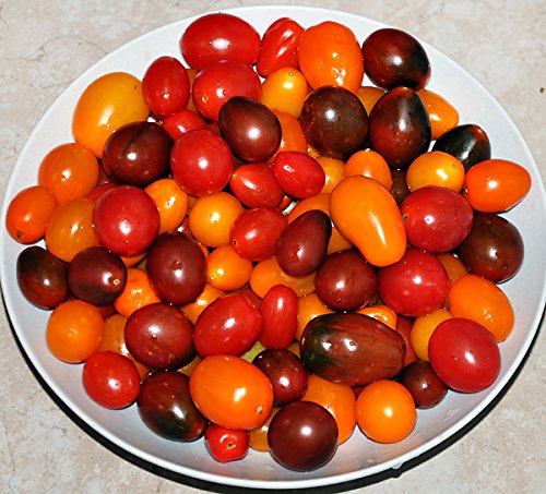 Please Read! This is A Mix!!! 30+ Cherry Tomato Mix Seeds 10 Varieties Heirloom Non-GMO, Black, Lucky Tiger, Yellow Red Pear, from USA Please Read! This is A Mix!!! 30+ Cherry Tomato Mix Seeds 10 Varieties Heirloom Non-GMO, Black, Lucky Tiger, Yellow Red Pear, from USA