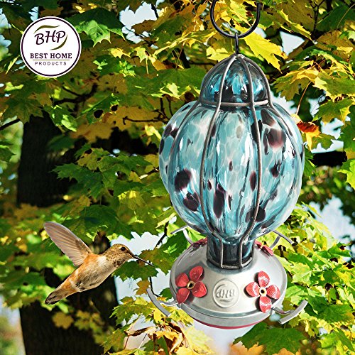 Best Home Products Hummingbird Feeder with Perch - Hand-Blown Glass Feeders | Treat ((Blue Black) Best Home Products Hummingbird Feeder with Perch - Hand-Blown Glass Feeders | Treat ((Blue Black)