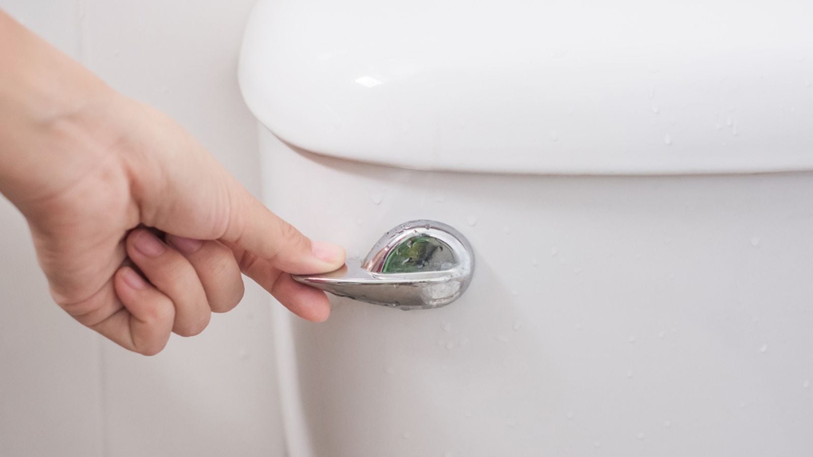 Hand press and flush toilet. Cleaning, Lifestyle and personal hygiene concept